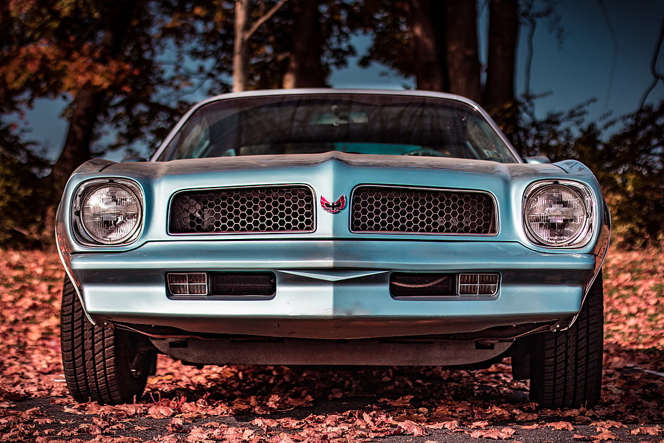 blue Pontiac Firebird Trans-Am HD wallpaper