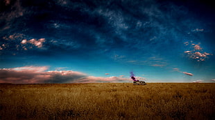 wheat field, Walter White, Breaking Bad, desert, AMC HD wallpaper