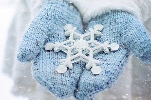 white snowflake on persons hands