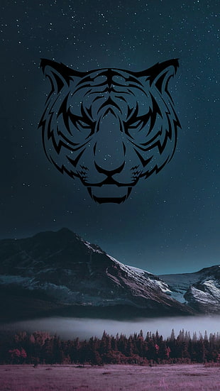 tiger constellation, space, mountains, tiger