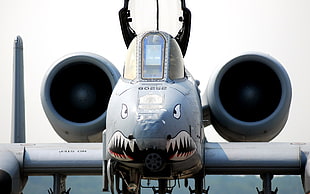 gray fighter plate, Fairchild Republic A-10 Thunderbolt II, aircraft, military aircraft