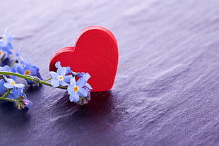 blue flowers near heart plastic decor