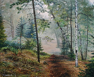 green and white trees, painting, forest, birch, nature