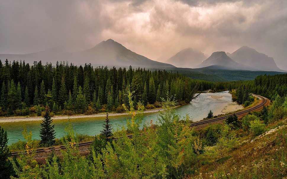 green trees, nature, landscape, clouds, forest HD wallpaper