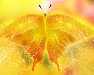 yellow swallowtail butterfly digital wallpaper
