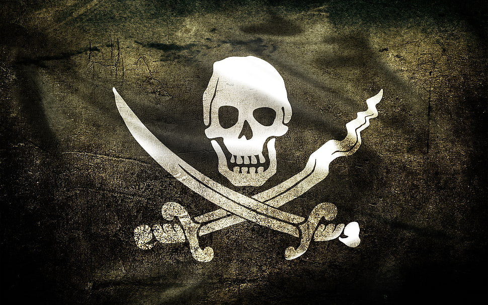 black and white pirate skull printed textile HD wallpaper