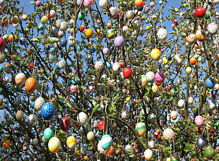 low-angle photography of tree filled with hanging ornaments