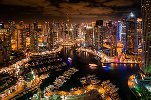 photo of Urban Area skyline at night HD wallpaper