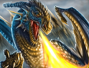 Dragon illustration HD wallpaper