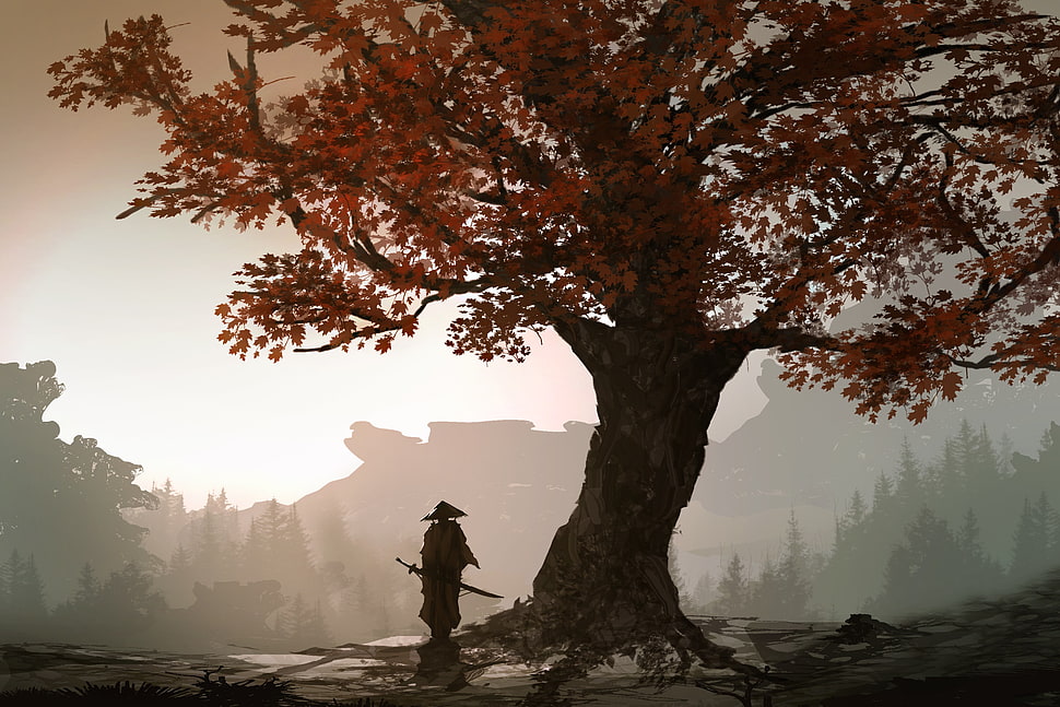 maple leaf tree, landscape, samurai HD wallpaper