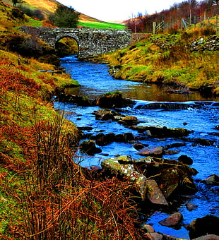 photo of river, brecon beacons HD wallpaper