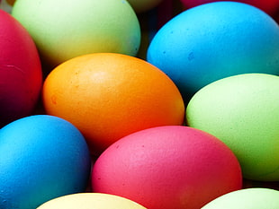closeup photography of assorted color eggs HD wallpaper