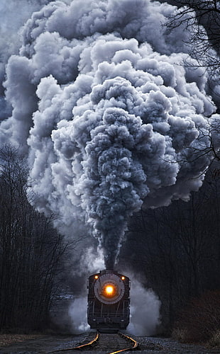 black and grey train wallpaper, nature, train, portrait display, steam locomotive