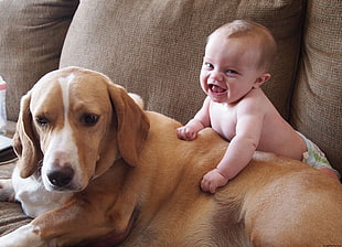 baby leaning on dog