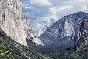 gray mountains, nature, trees, Yosemite Valley, Yosemite National Park HD wallpaper