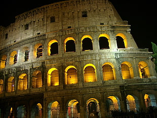 Colosseum, Rome Italy HD wallpaper