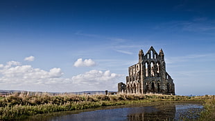 gray cathedral, church, Whitby Abbey, England, river HD wallpaper
