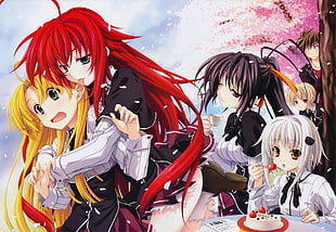 female anime characters wallpaper, High School DxD, Gremory Rias