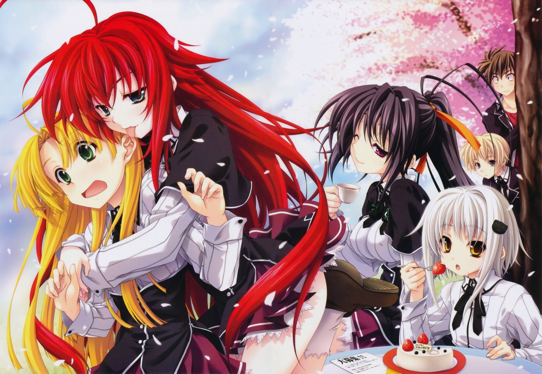 5. Rias Gremory from High School DxD - wide 1