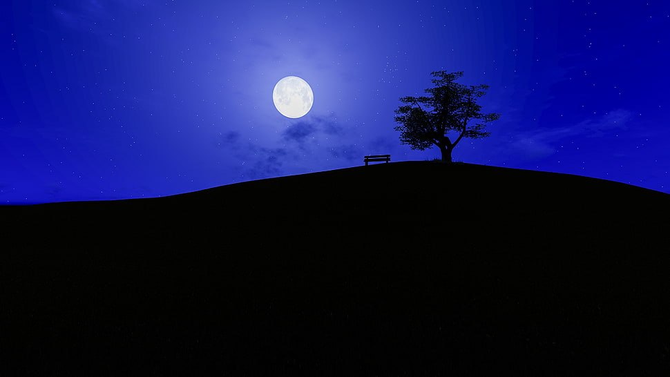 full moon with tree and bench tree painting HD wallpaper