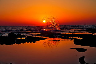 panoramic photo of ocean during sunset HD wallpaper