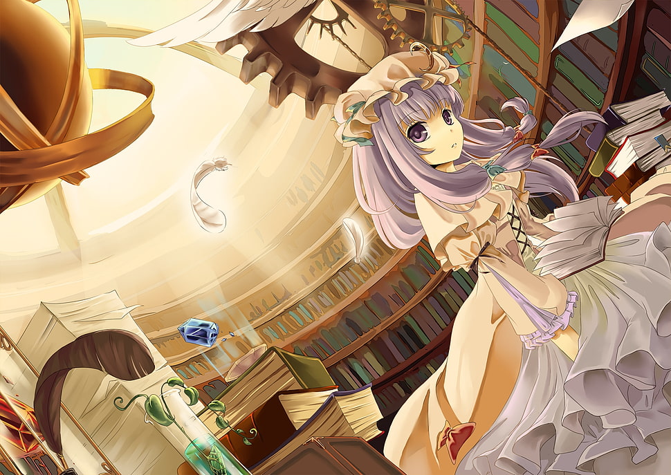 gray haired female Anime character inside library HD wallpaper