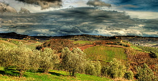 landscape photography of green field HD wallpaper