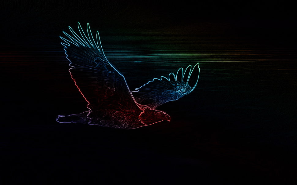 bird illustration, neon, eagle, black HD wallpaper