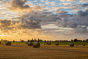 hays on wheat field during sunrise