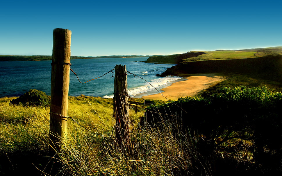 two brown wooden posts HD wallpaper