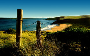 two brown wooden posts