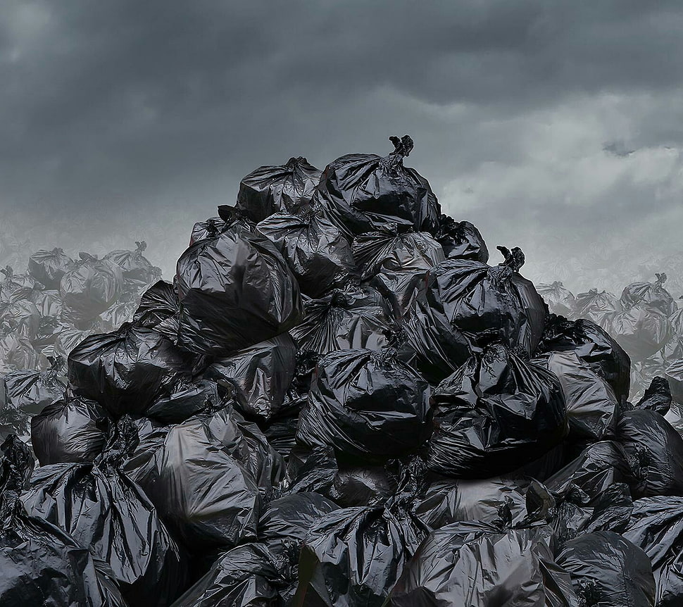 black and white floral textile, trash, environment, bag HD wallpaper