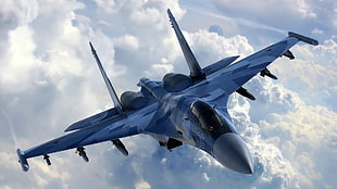 gray Jet fighter, Su-27, military aircraft, military, vehicle
