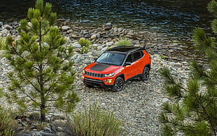 red and black SUV on forest HD wallpaper