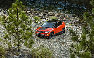 red and black SUV on forest