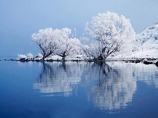 white and blue house near body of water painting, trees, winter