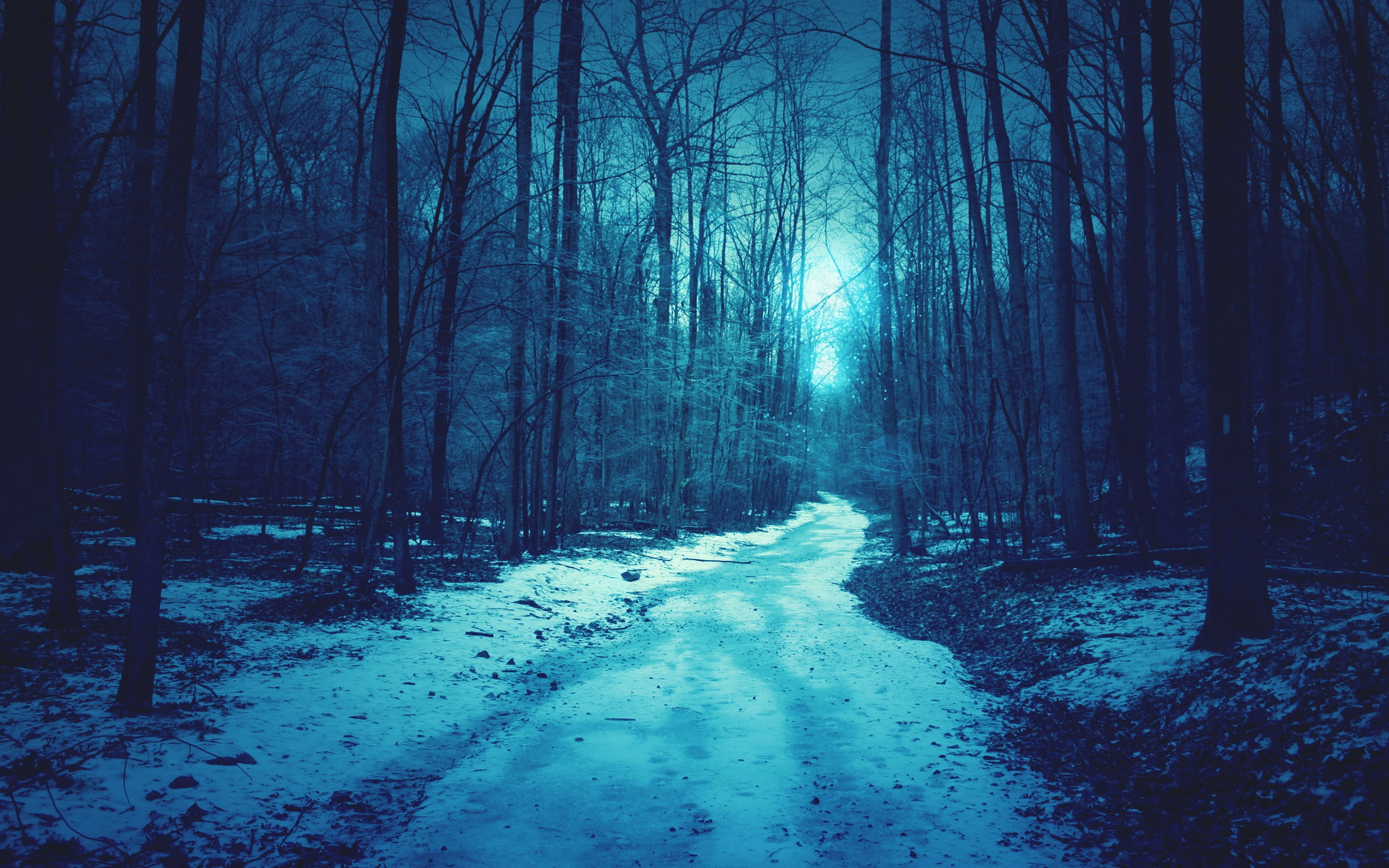 3840x2160 resolution | wooden forest road cover with white snow HD ...
