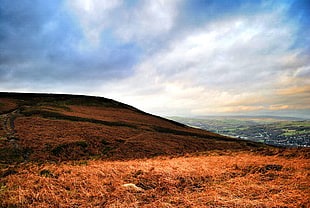 brown mountain slope, Ilkley, England, hills, landscape