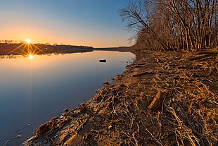 river surrounded by withered tree, potomac HD wallpaper