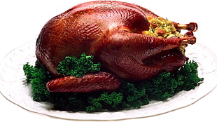 roasted turkey HD wallpaper