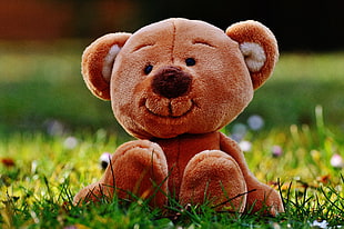 brown bear plush toy HD wallpaper
