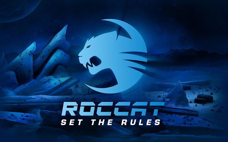 Roccat logo, digital art, typography HD wallpaper