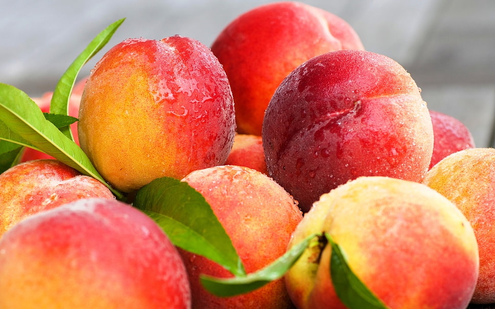 pile of peach fruits HD wallpaper