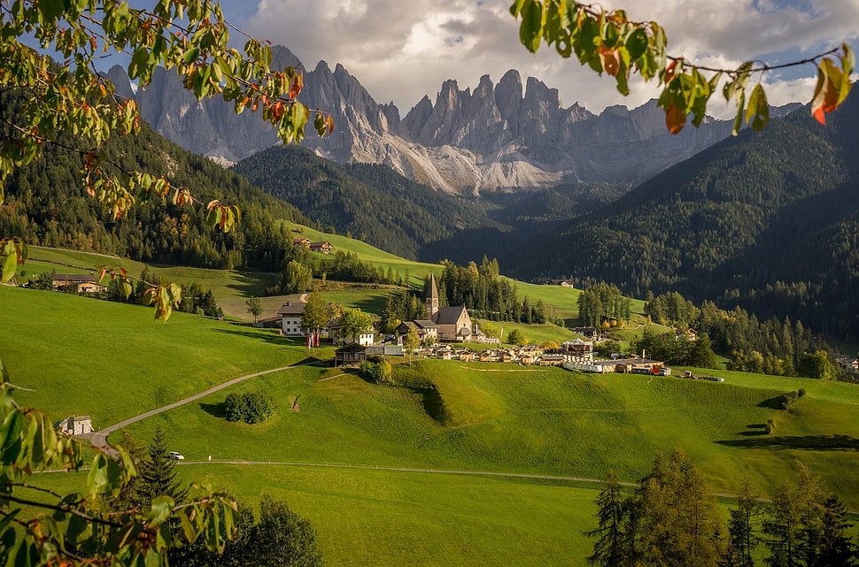 green leafed tree, village, hills, valley, mountains HD wallpaper