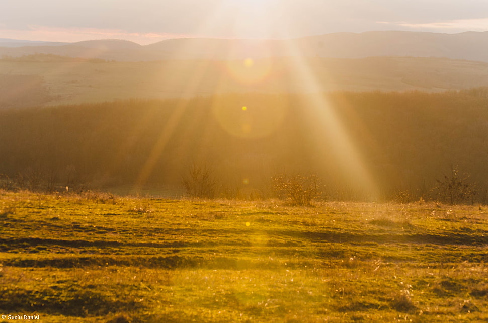 brown dirt, Sun HD wallpaper