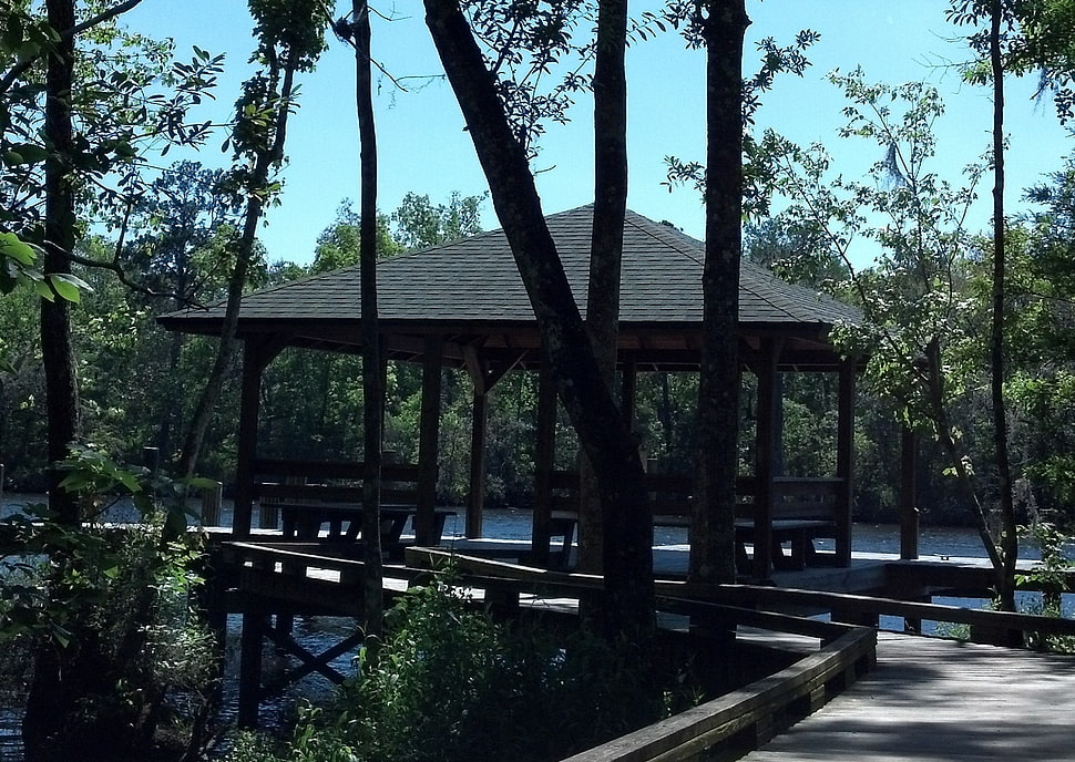 black wooden canopy HD wallpaper