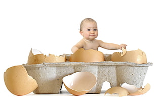 baby on organic eggs HD wallpaper