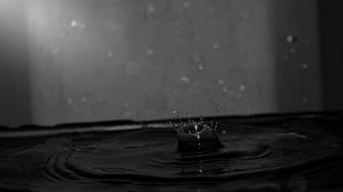 black and gray wooden bed frame, monochrome, water, water drops