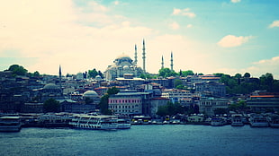 white Blue Mosque, Istanbul, city, cityscape, Istanbul, sea HD wallpaper
