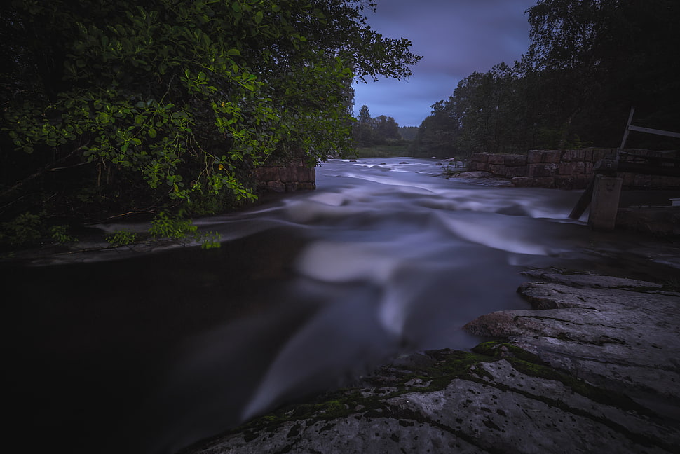 time lapse photography of river near green leaf tree HD wallpaper